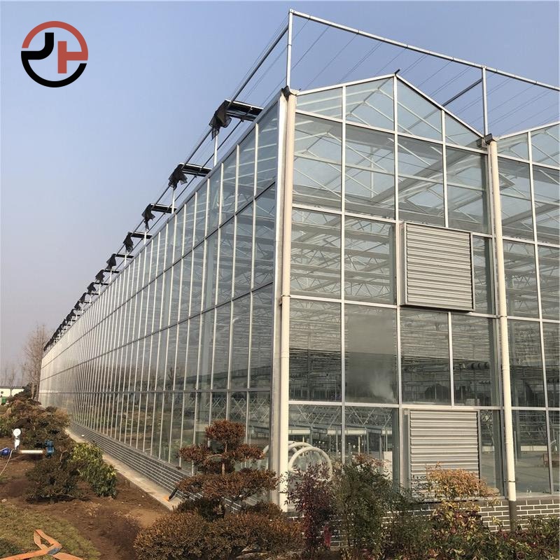 Glass Multi-span Venlo Greenhouse Glass Multi-span Venlo Greenhouse