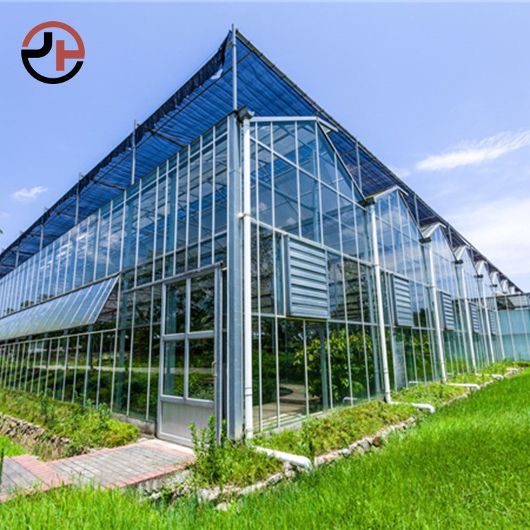 Glass Multi-span Venlo Greenhouse Glass Multi-span Venlo Greenhouse