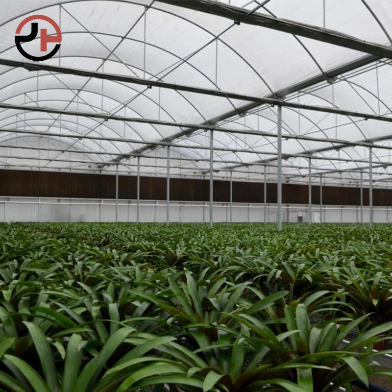 Polycarbonate Greenhouse Polycarbonate Greenhouse