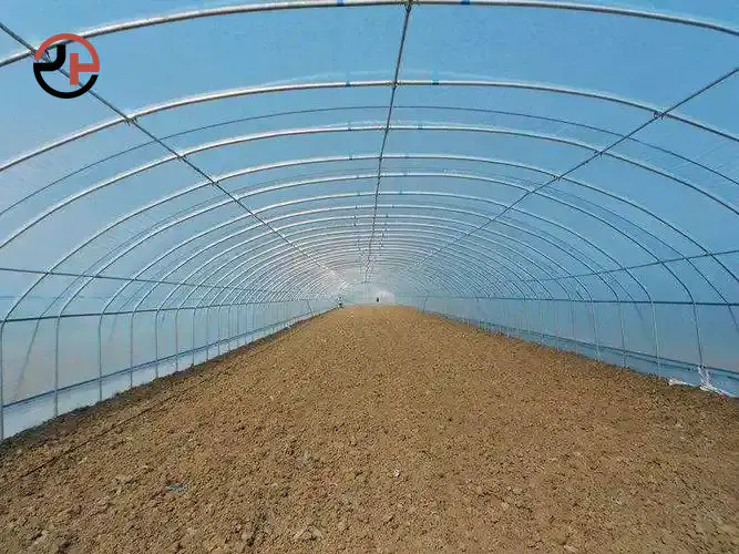 Single-span Tunnel Greenhouse Single-span Tunnel Greenhouse