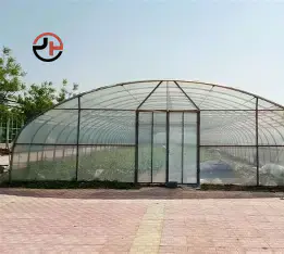 Single-span Tunnel Greenhouse Single-span Tunnel Greenhouse