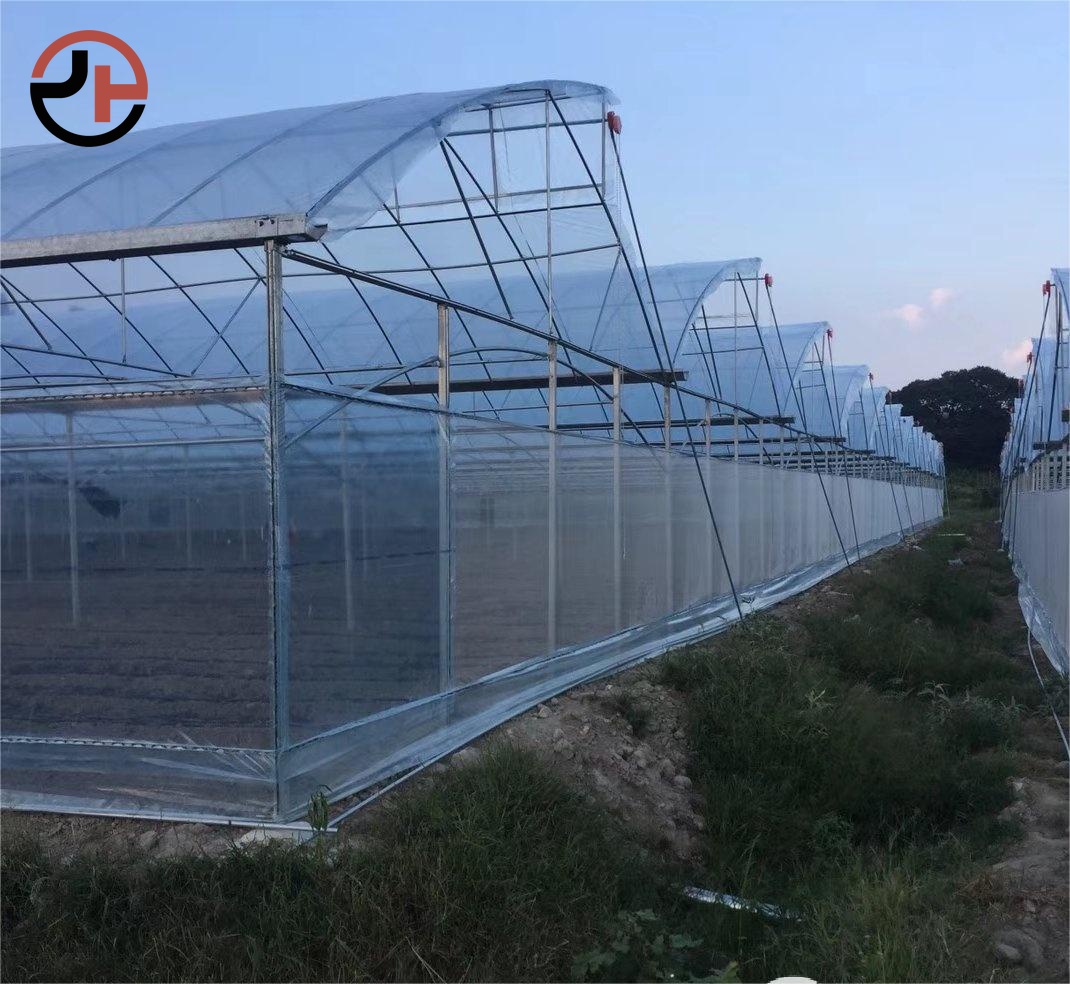 Sawtooth Greenhouse Sawtooth Greenhouse
