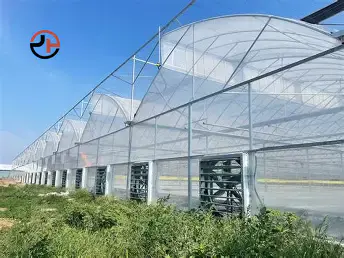 Sawtooth Greenhouse