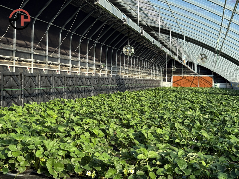 Solar Greenhouse