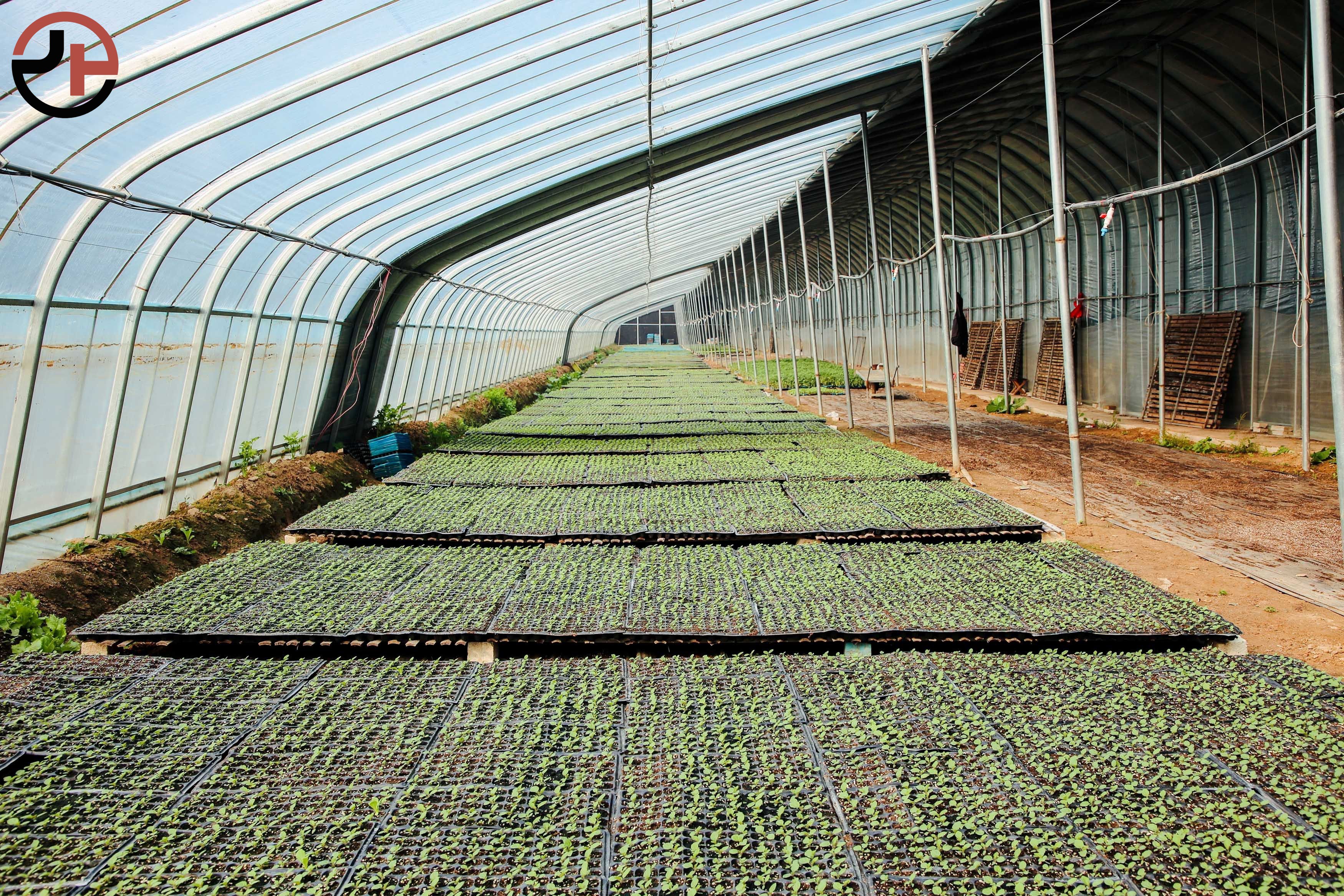 Nursery Seedling Greenhouse Nursery Seedling Greenhouse