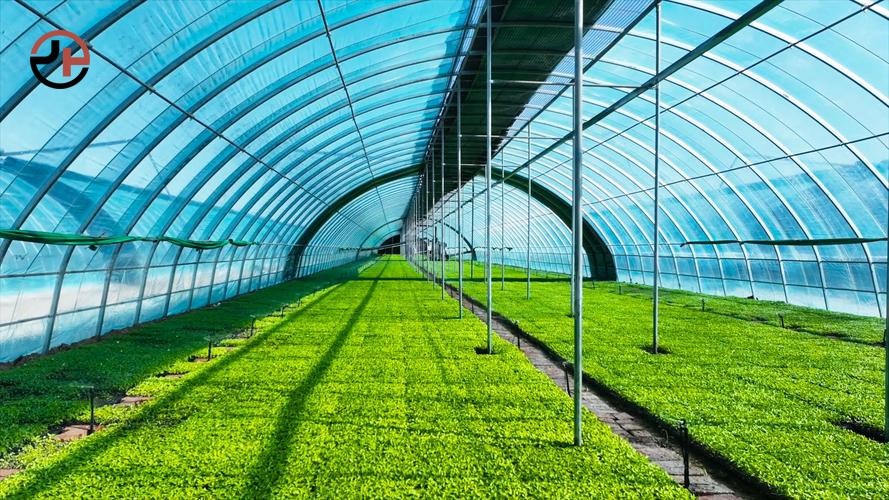 Home & Garden Backyard Greenhouses