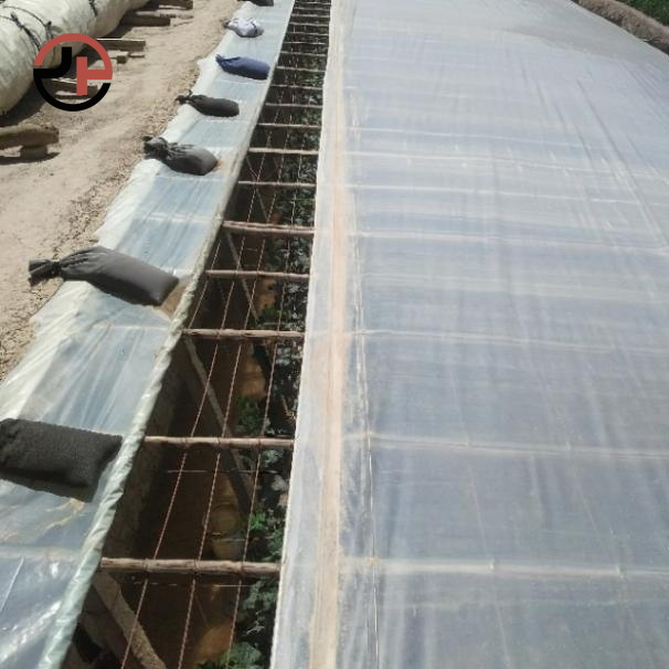 PE Greenhouse Film PE Greenhouse Film
