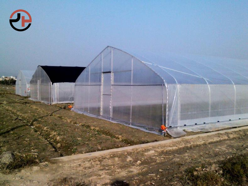 PE Greenhouse Film PE Greenhouse Film