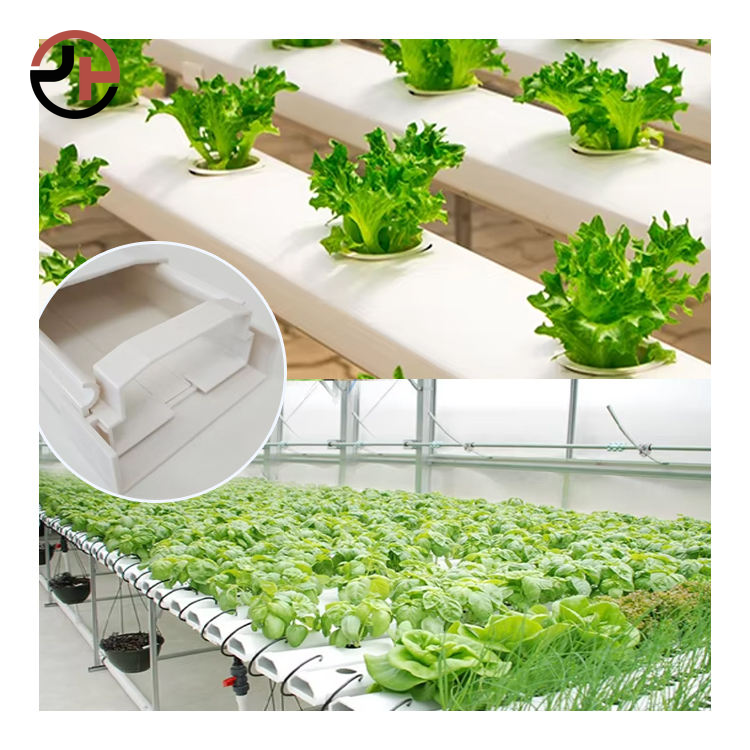 Hydroponic Growing System