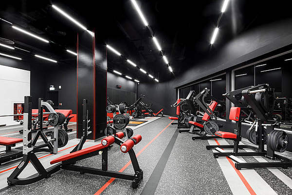 f512a4024b7fccc076cdcf51b149ab93718cb9a5227eb-GkLmzx_fw1200