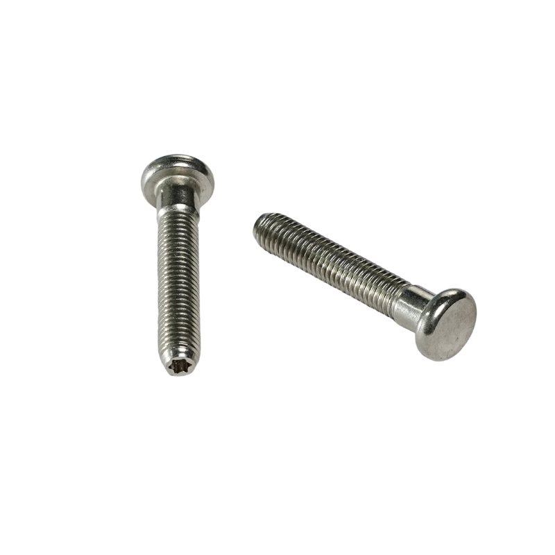 stainless steelscrews