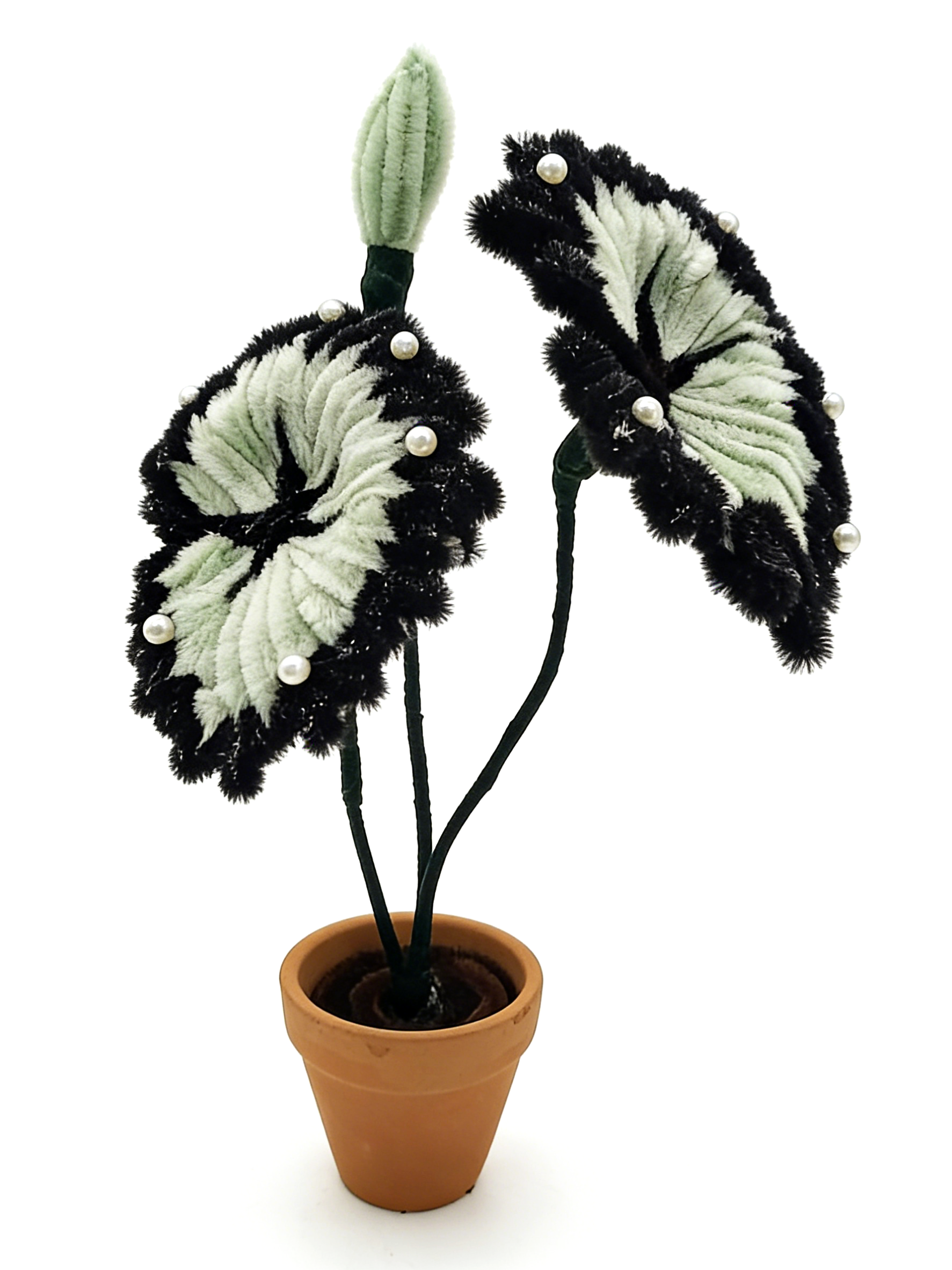Pipe Cleaners Craft Kit, Black & Green Caladium Plant Chenille Stems DIY Set with Pearl Beads, Creative Room Decor Art Supplies, Bulk Craft Kit for Kids & Adults, Gothic Style Plant Lover Gift