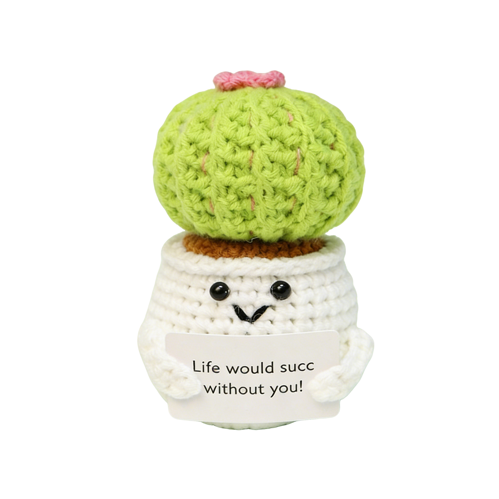 Handmade Crochet Cactus Plush, 