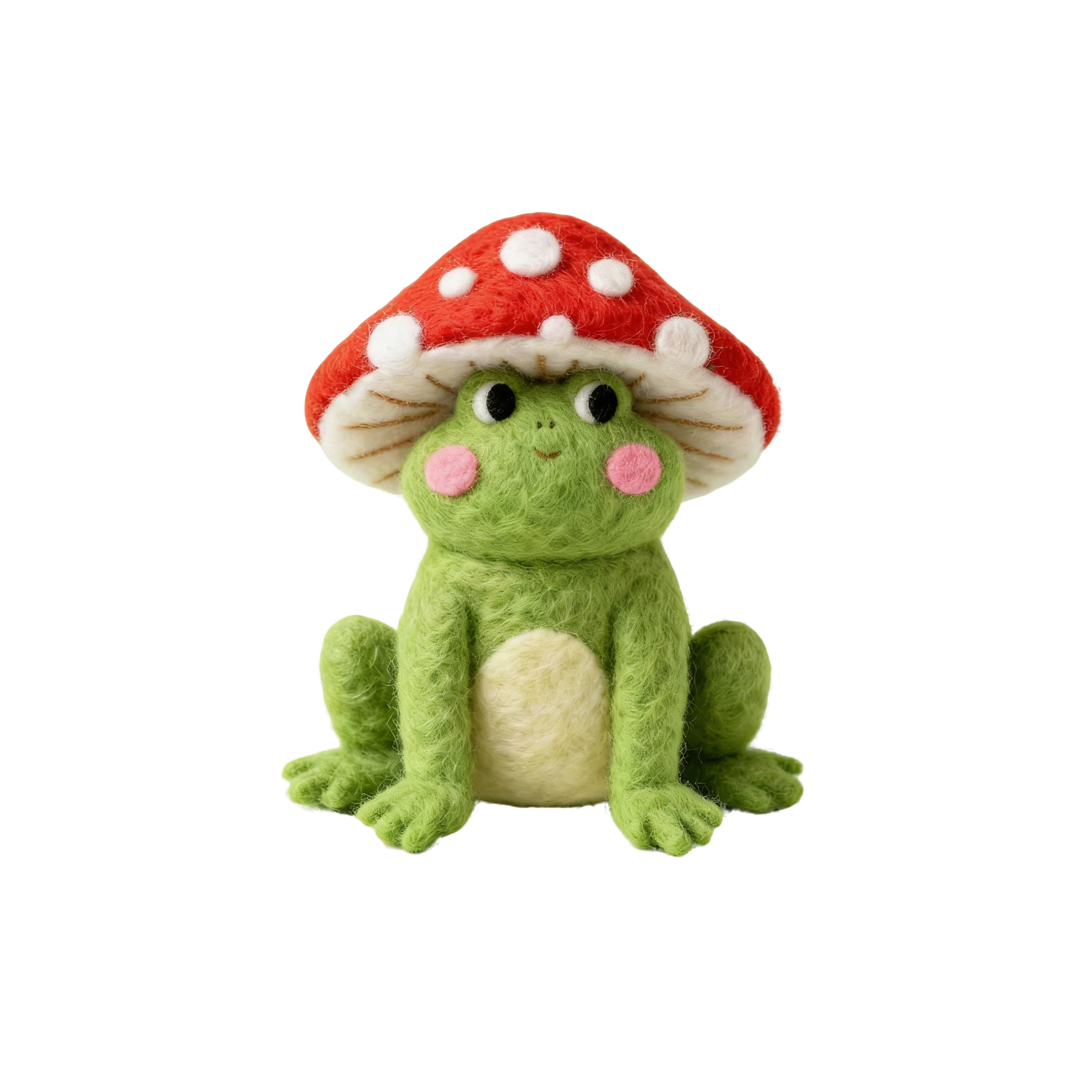 Cute Mushroom Frog Needle Felting Kit, DIY Wool Felt Craft Set with Tools, Foam Mat & Instructions, Beginner Friendly Animal Doll Kit, Handmade Keychain or Decor Gift for Adults, Christmas, Birthday