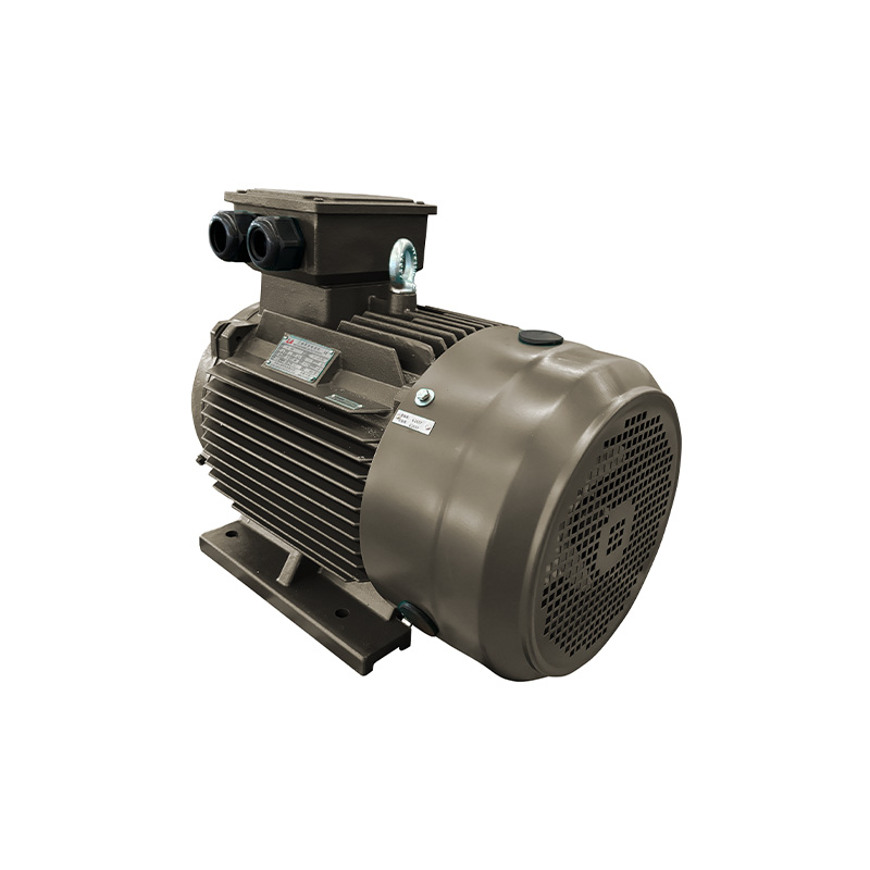 IE3 series ic411 motor