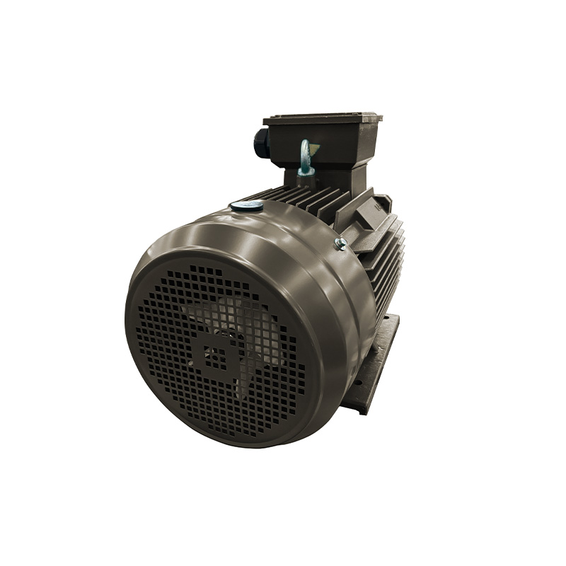 IE3 series ic411 motor
