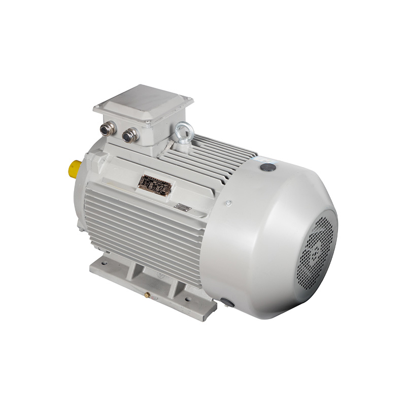 IE5 series ip65 motor