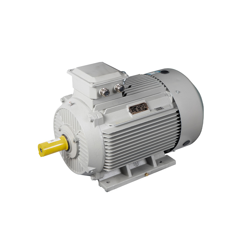 IE5 series ip65 motor