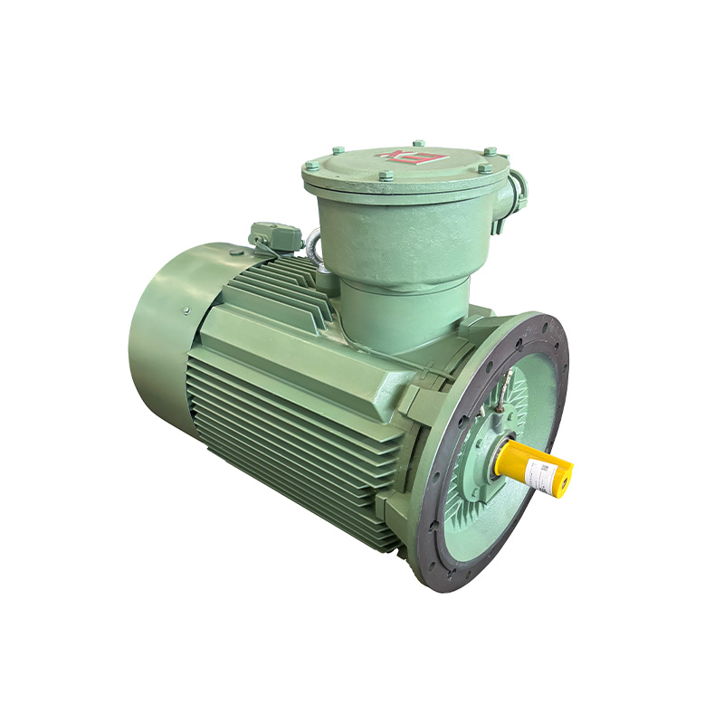 YBX4 series flameproof induction motor