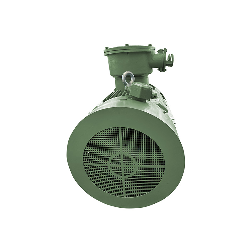 YBX4 series flameproof induction motor