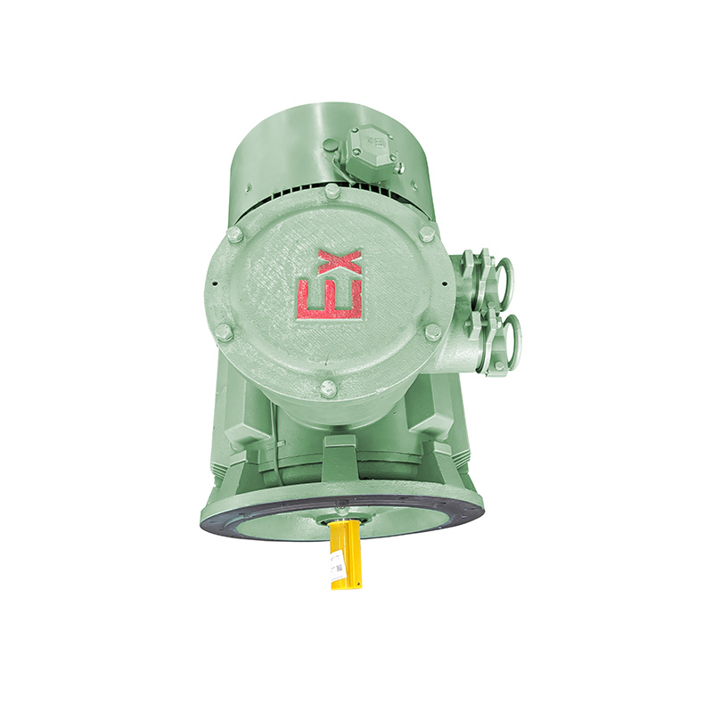 YBX4 series flameproof induction motor