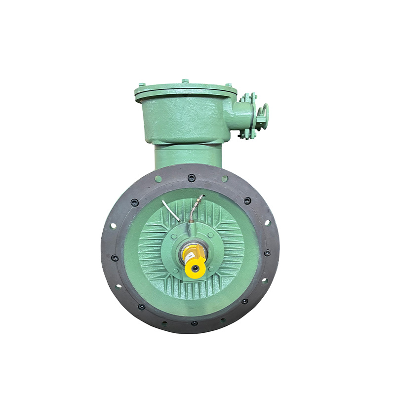 YBX4 series flameproof induction motor