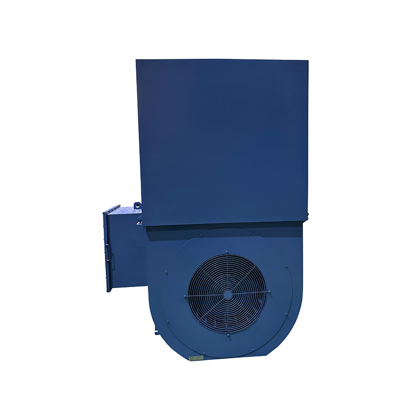 High voltage ac power plant motor