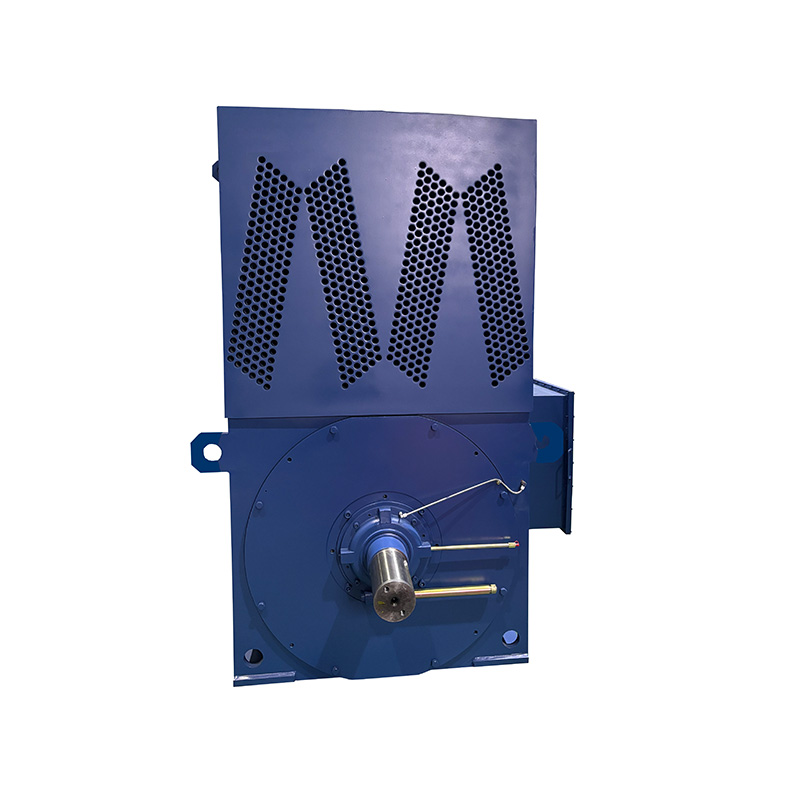 High voltage ac power plant motor