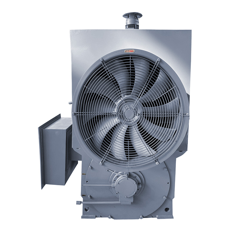 YPKK series 4160v motor