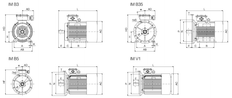 YBX4 series flameproof induction motor