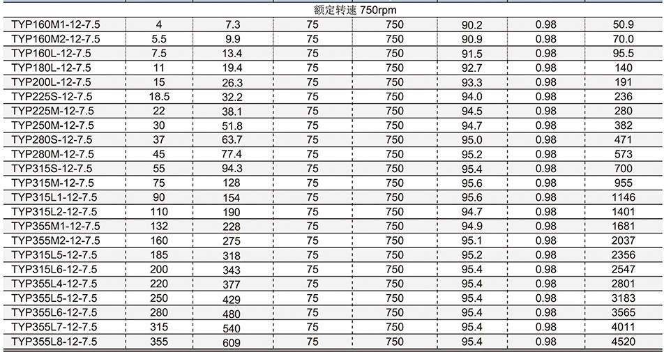 Permanent Magnet Synchronous Motor IE4 IE5