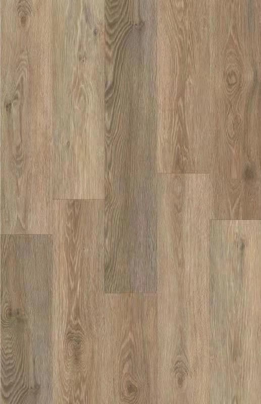 imgi_3_weixintupian_20210526111951 imgi_3_weixintupian_20210526111951