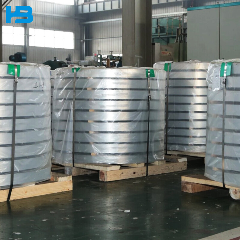 Stainless Steel Strip