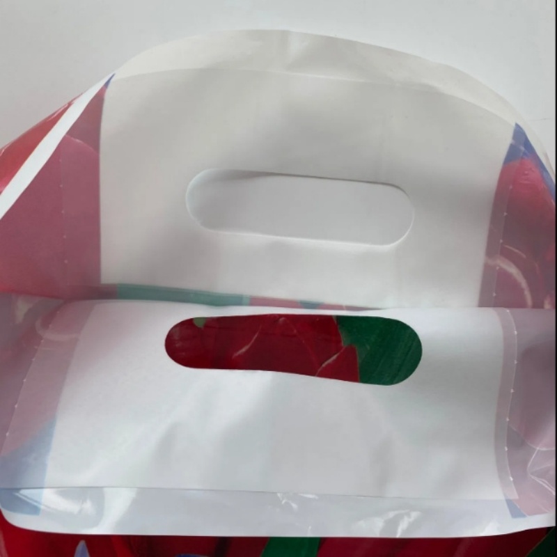 Die Cut bag