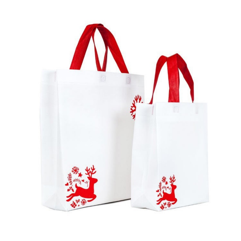 Non-woven Bag