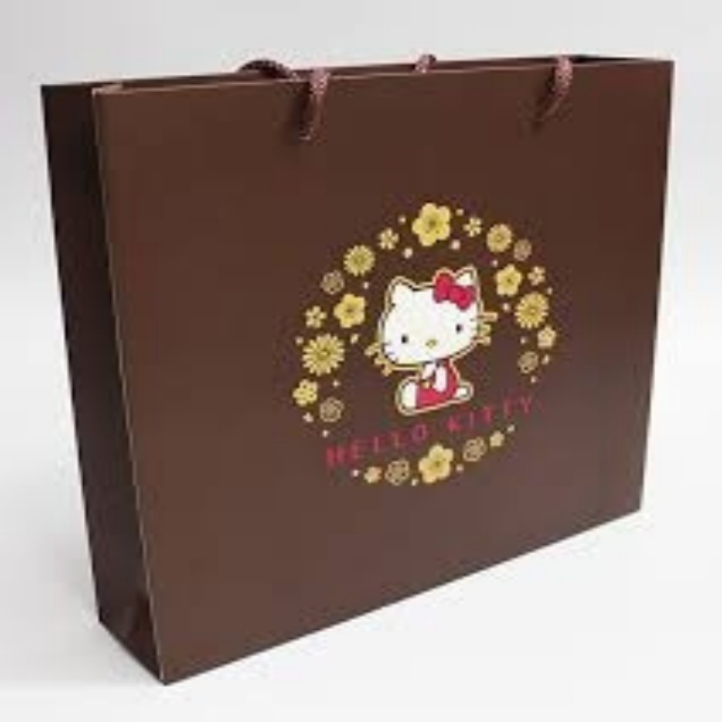 Paper Cardboard Handle Bag
