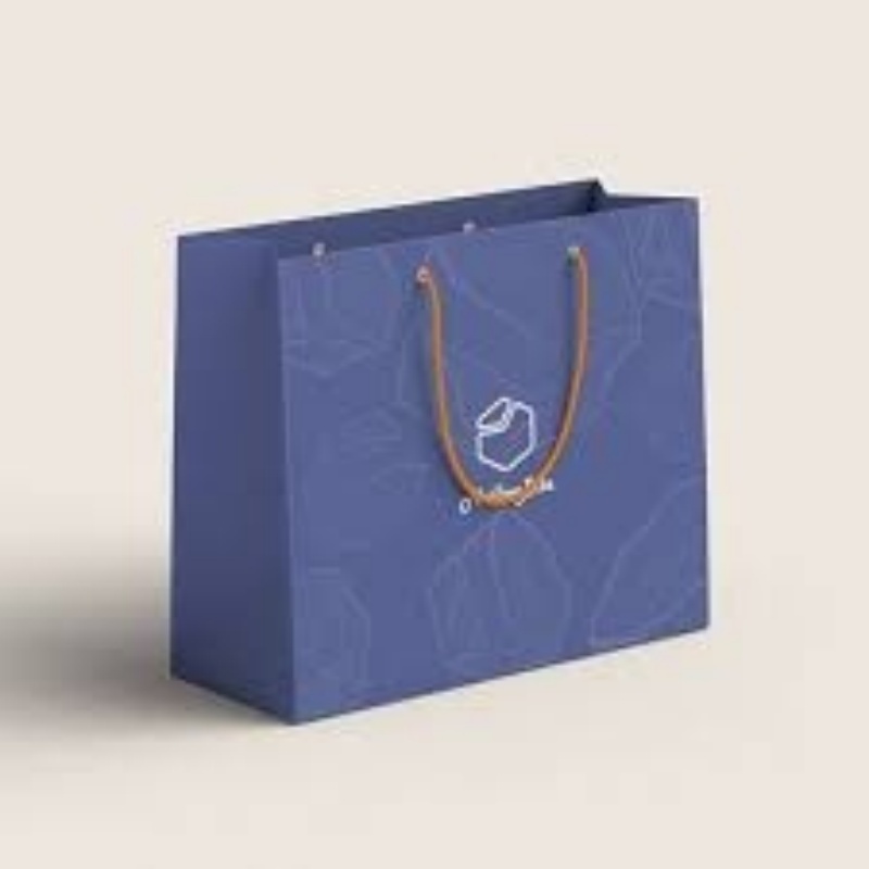 Paper Cardboard Handle Bag
