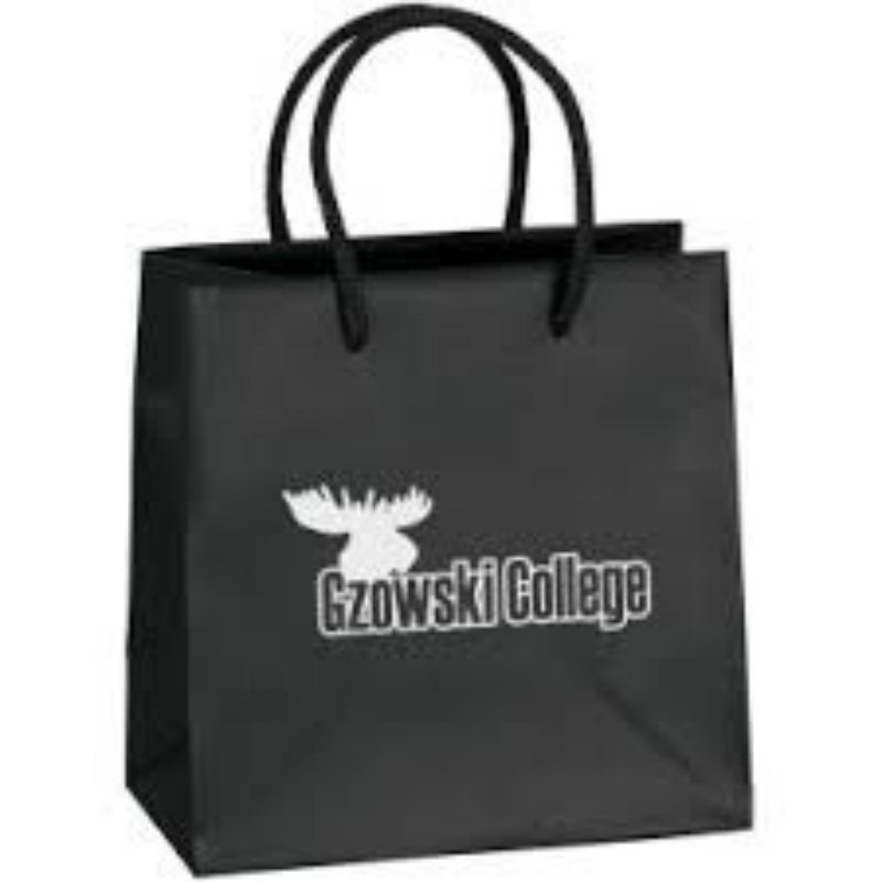 Paper Cardboard Handle Bag