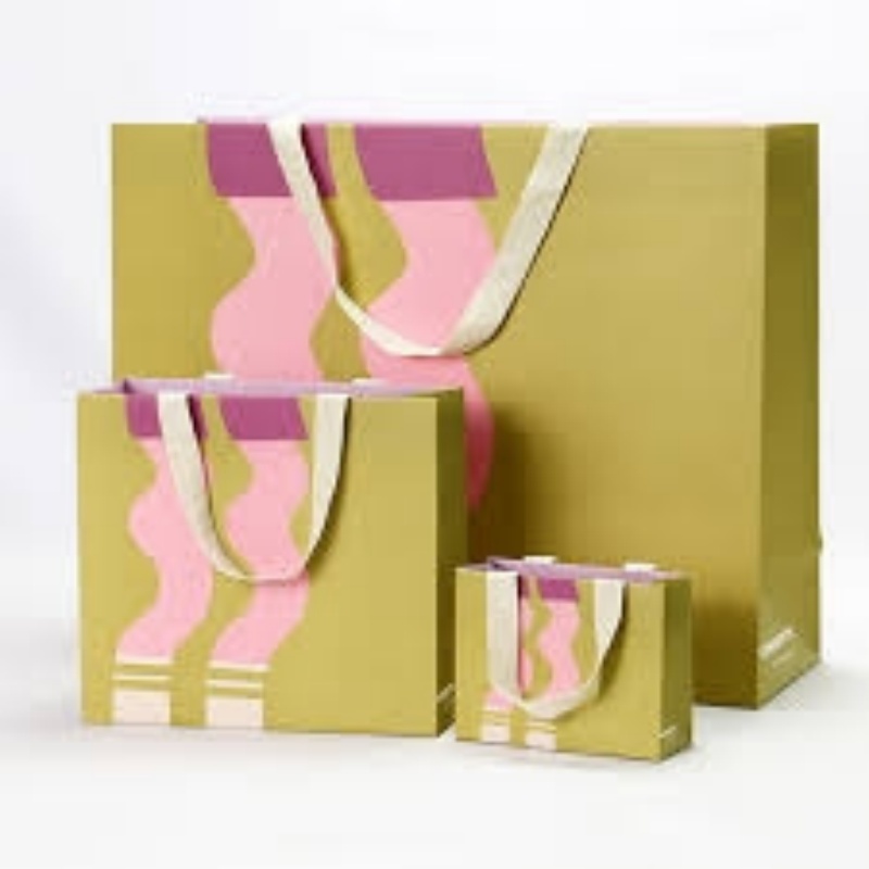 Paper Cardboard Handle Bag