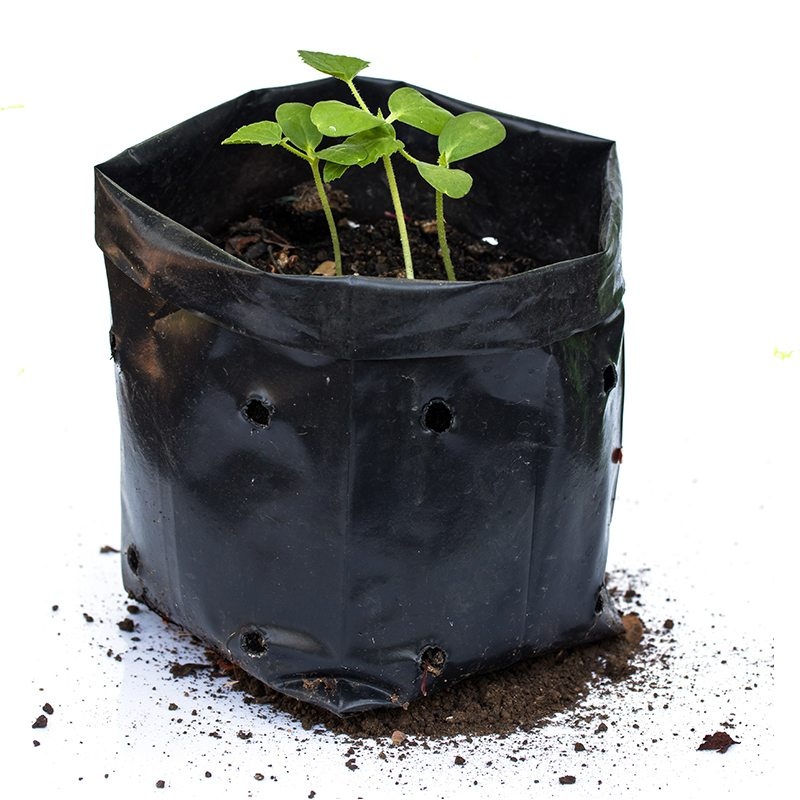 Plastic PE Planting Bag