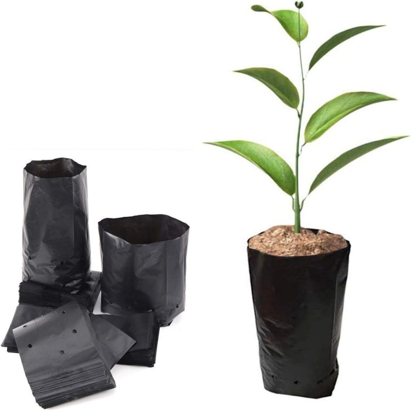 Plastic PE Planting Bag