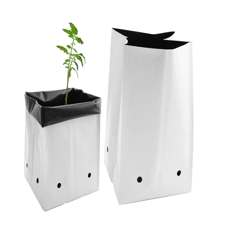 Plastic PE Planting Bag