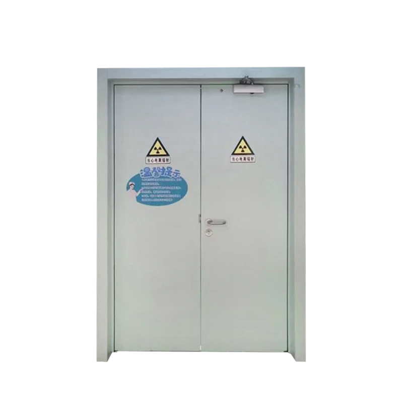 Electric swing lead door