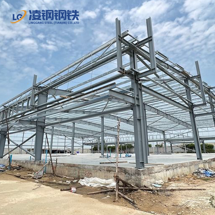 Modern Design Professional Prefabricated Steel Structure Warehouse Economical Option 