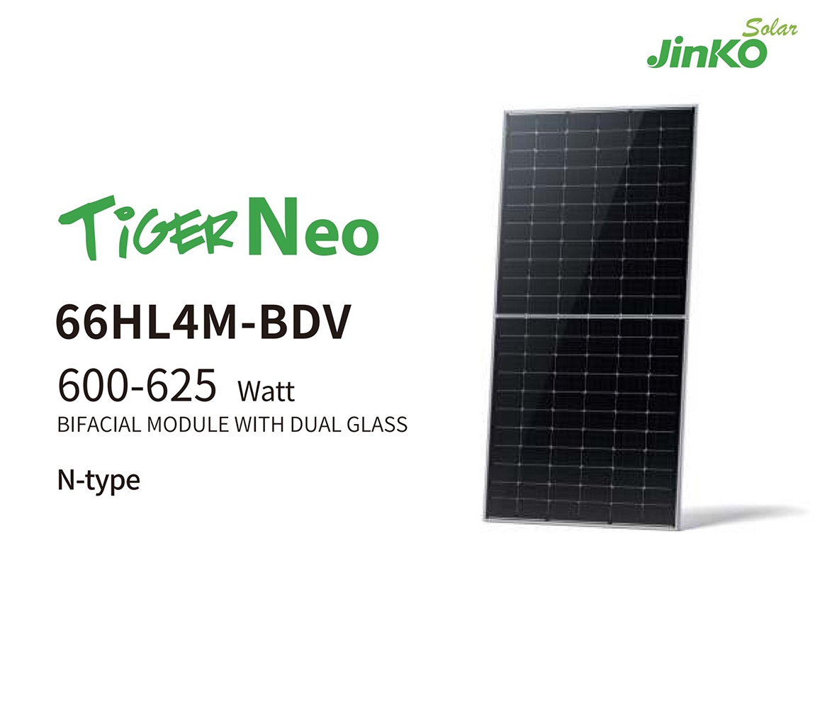 TiGER Neo 66HL4M-BDV 600-625W