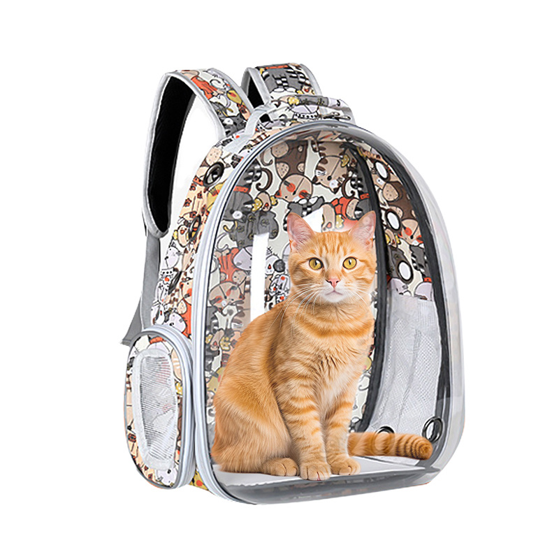 Customized Acrylic Pet Carrier