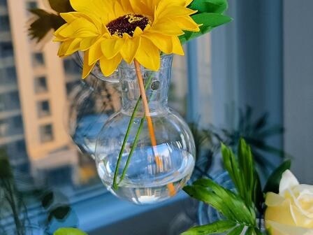 High transparency and anti-fall, the joy of acrylic vase