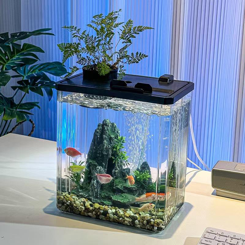 Acrylic Small Fish Tank for Desk