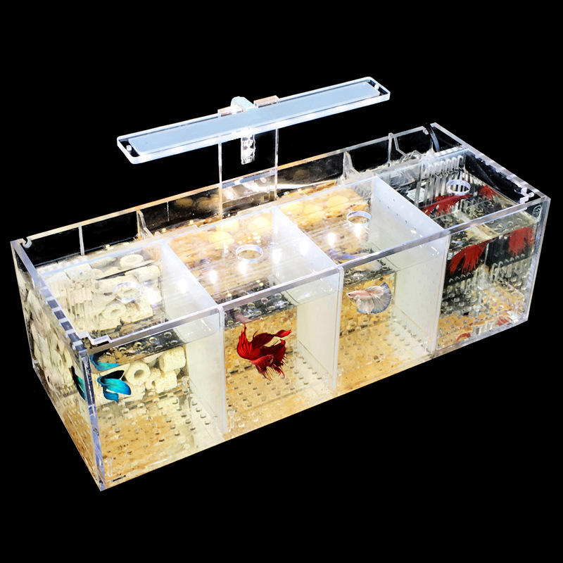 Acrylic Square Fish Tank