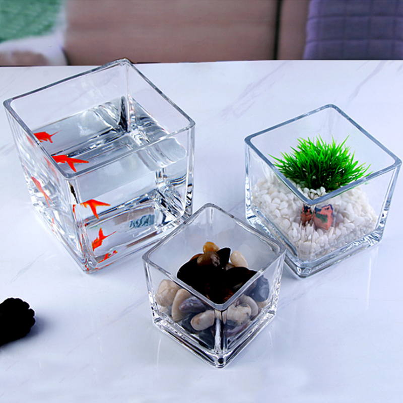 Acrylic Small Fish Tank for Desk